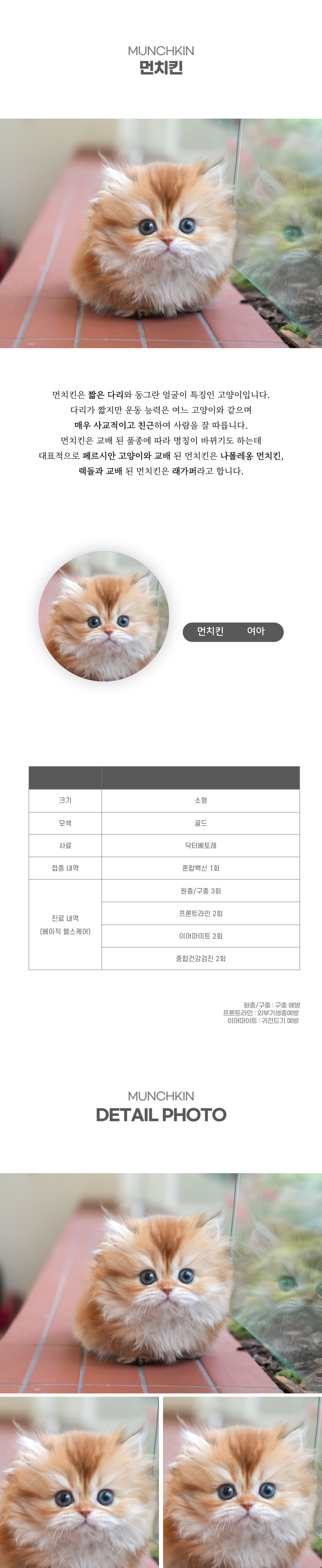 먼치킨_상세이미지_2